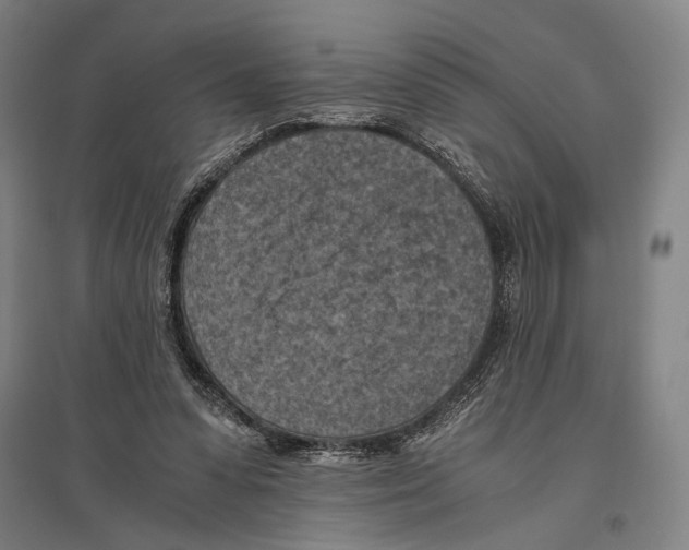 X0000096640303200803041132