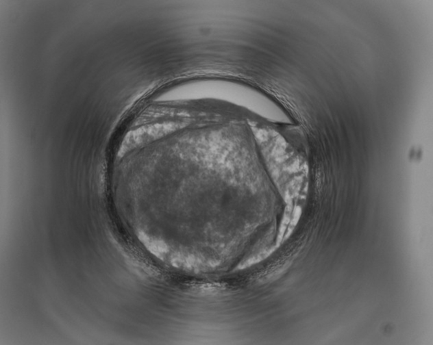 X0000096640304200803041132