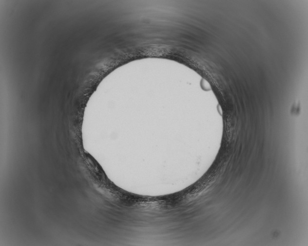 X0000096640307200803041132