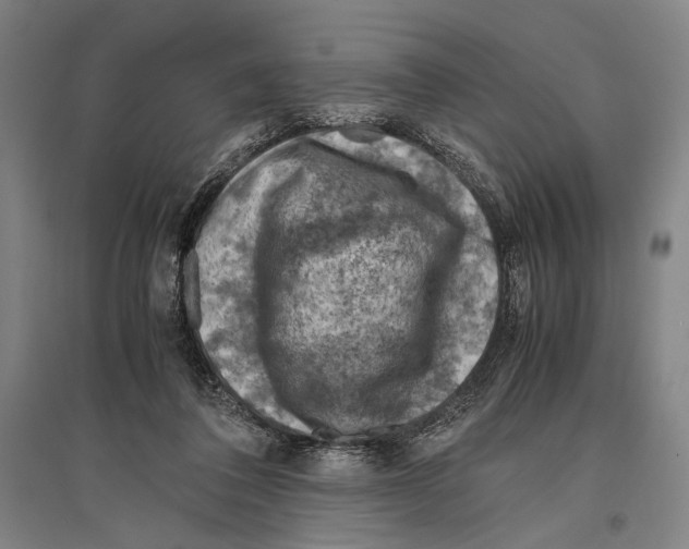 X0000096640308200803041132