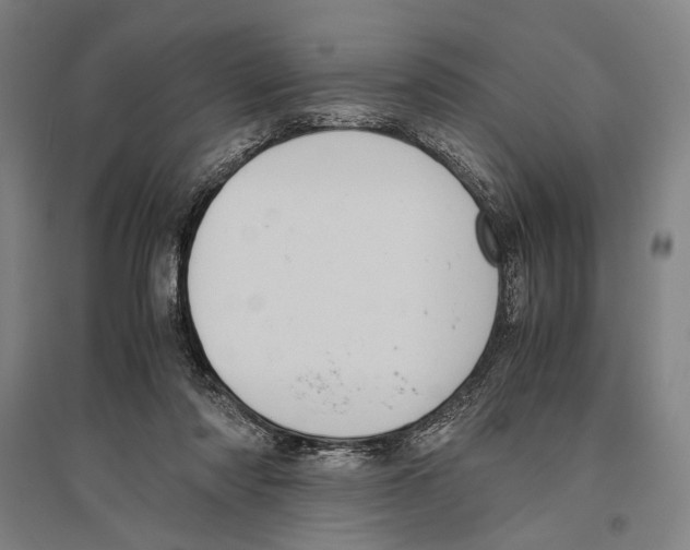 X0000096640310200803041132