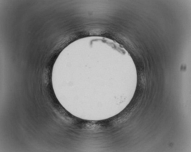 X0000096640311200803041132