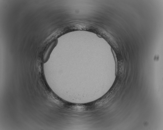 X0000096640313200803041132