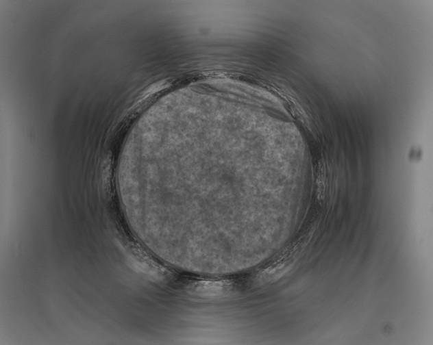 X0000096640314200803041132