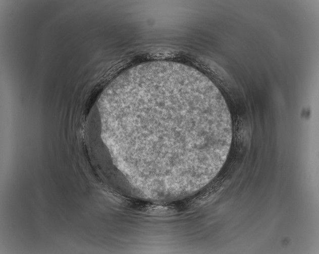 X0000096640315200803041132