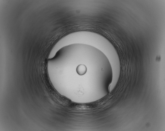 X0000096640316200803041132