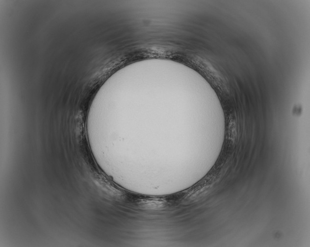 X0000096640318200803041132