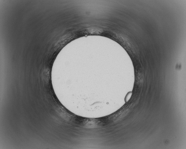 X0000096640321200803041132