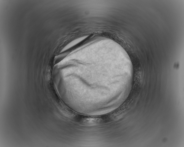 X0000096640323200803041132