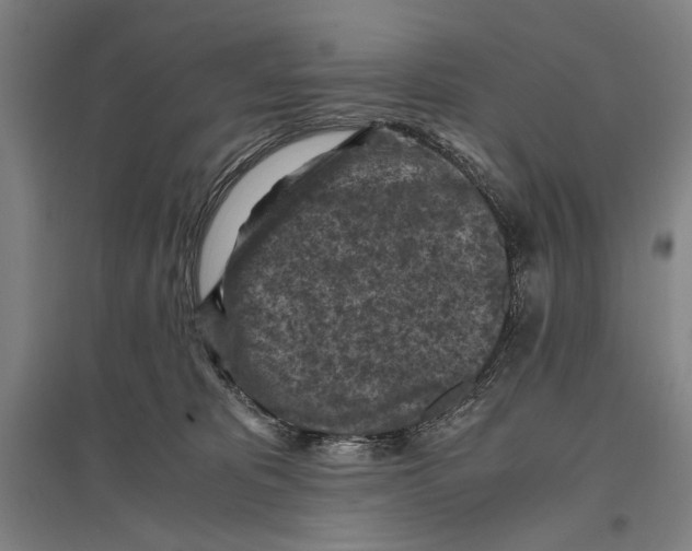 X0000096640325200803041132