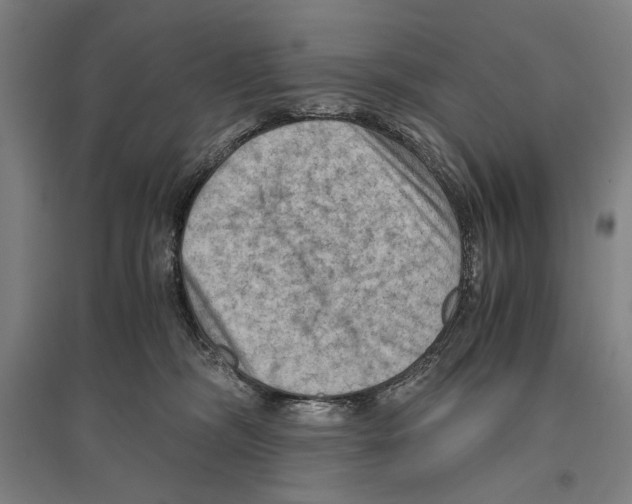 X0000096640326200803041132