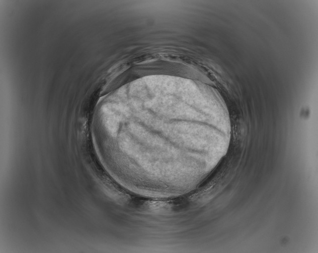 X0000096640327200803041132