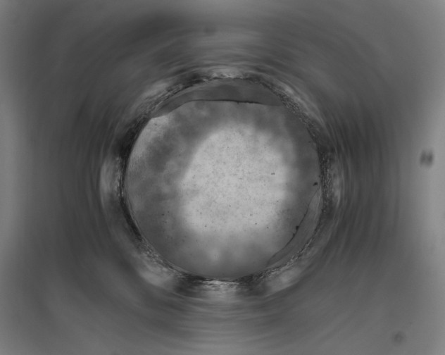 X0000096640328200803041132