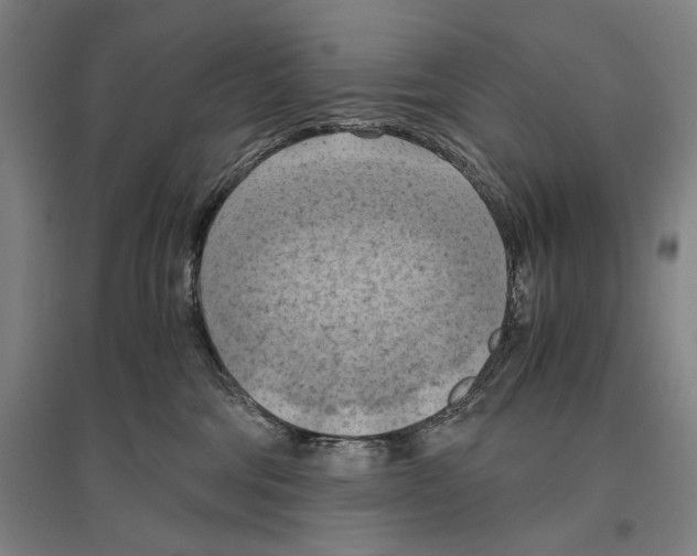 X0000096640330200803041132