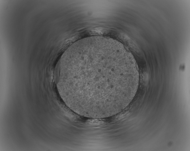 X0000096640331200803041132