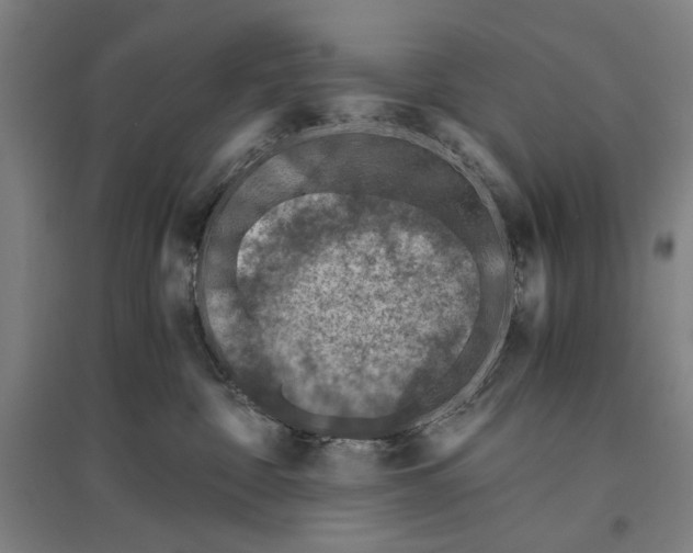 X0000096640332200803041132