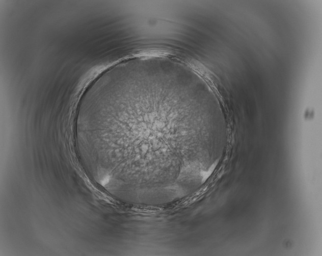 X0000096640337200803041131