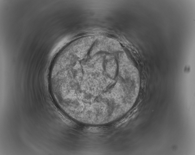 X0000096640341200803041131