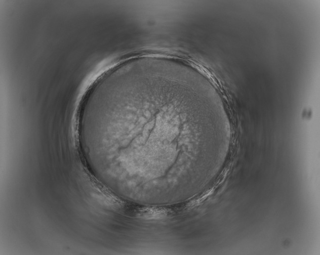 X0000096640343200803041131