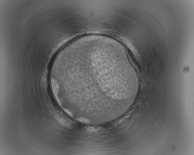 X0000096640346200803041131