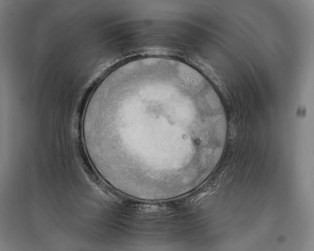 X0000096640347200803041131