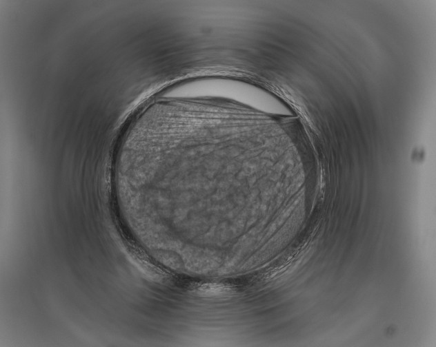 X0000096640348200803041131