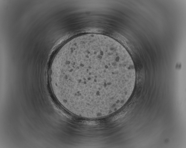 X0000096640349200803041131