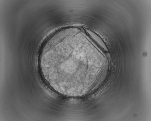 X0000096640350200803041131