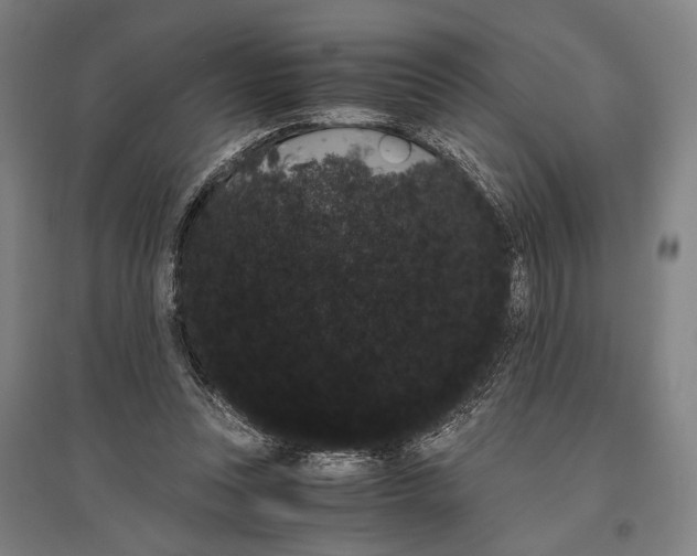 X0000096640351200803041131