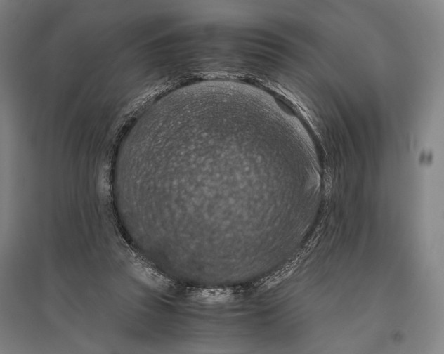 X0000096640353200803041131