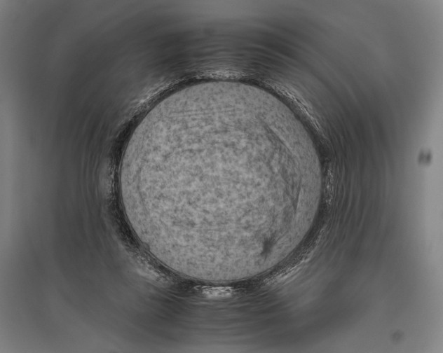 X0000096640355200803041131