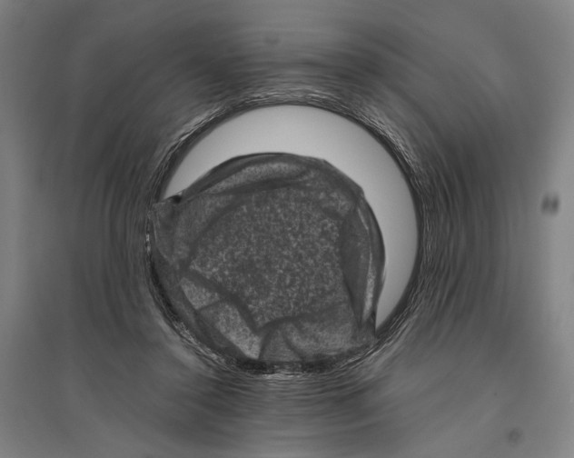 X0000096640356200803041131