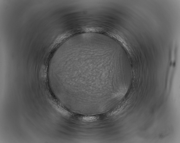 X0000096640357200803041131