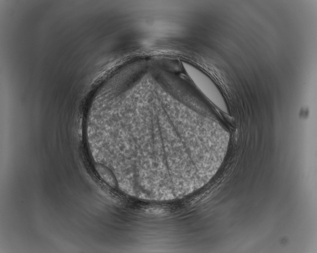 X0000096640358200803041131