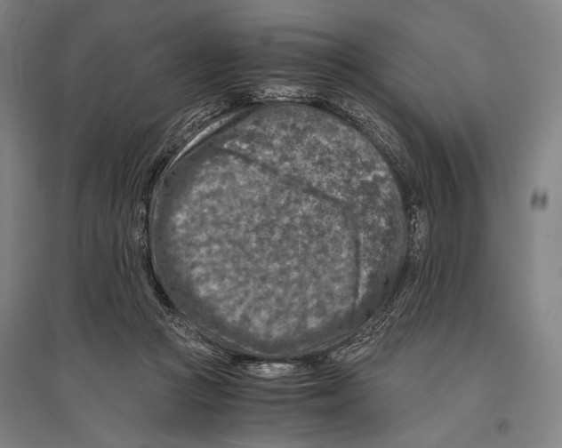 X0000096640361200803041132