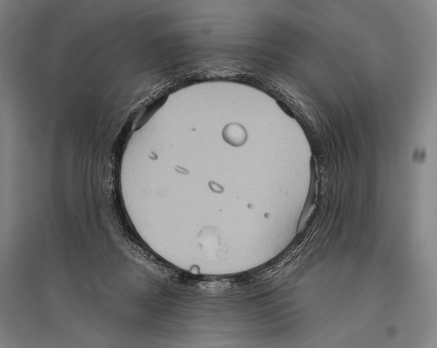 X0000096640362200803041132