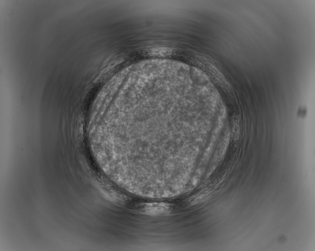 X0000096640363200803041132