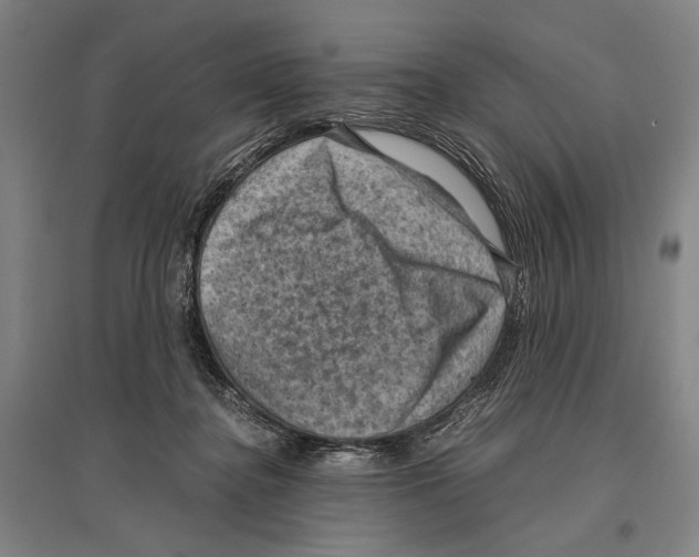 X0000096640364200803041132