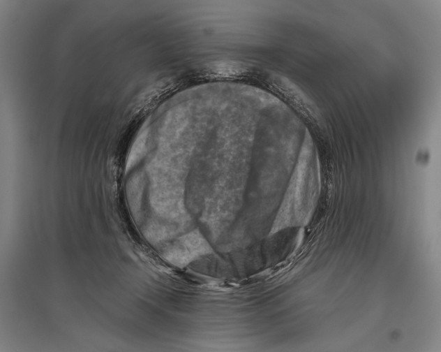 X0000096640366200803041132