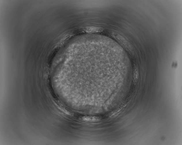 X0000096640367200803041132