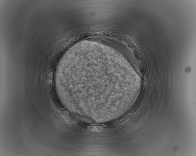 X0000096640368200803041132