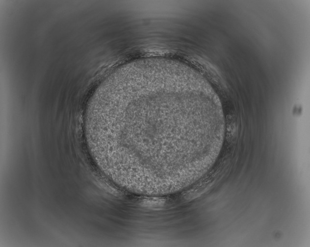 X0000096640369200803041132