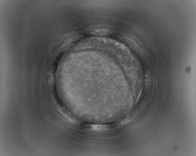 X0000096640371200803041132