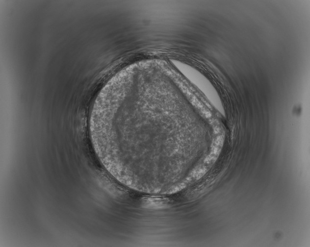 X0000096640372200803041132