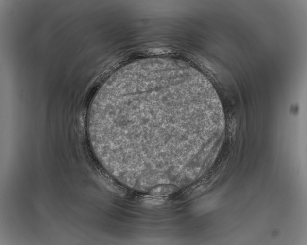 X0000096640373200803041132