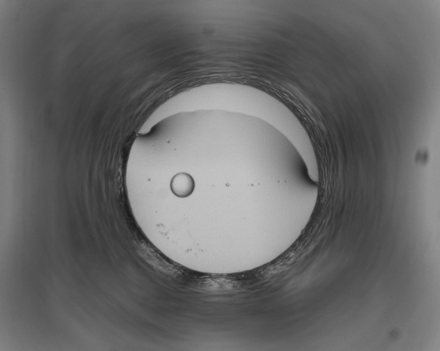 X0000096640376200803041132