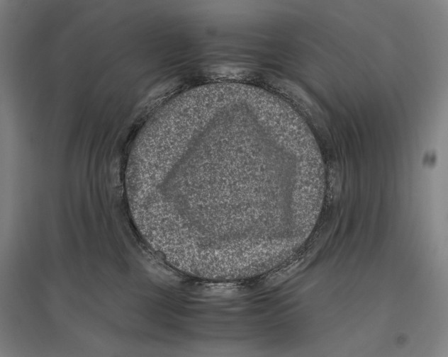 X0000096640377200803041132