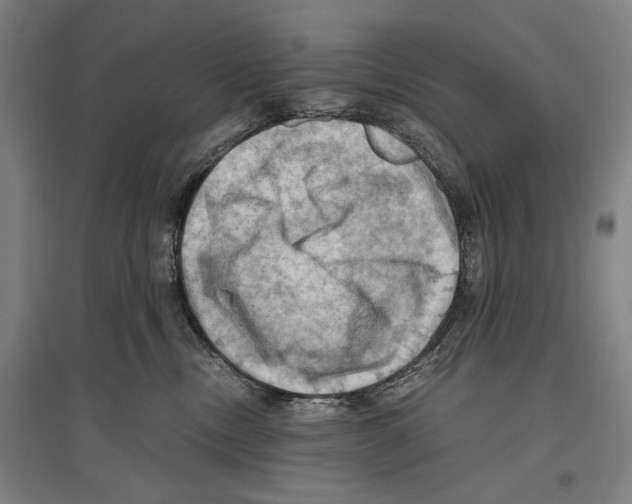 X0000096640378200803041132