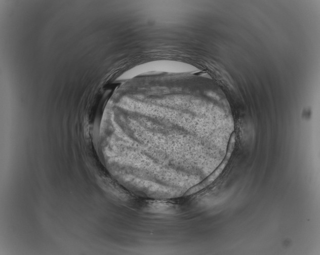 X0000096640380200803041132