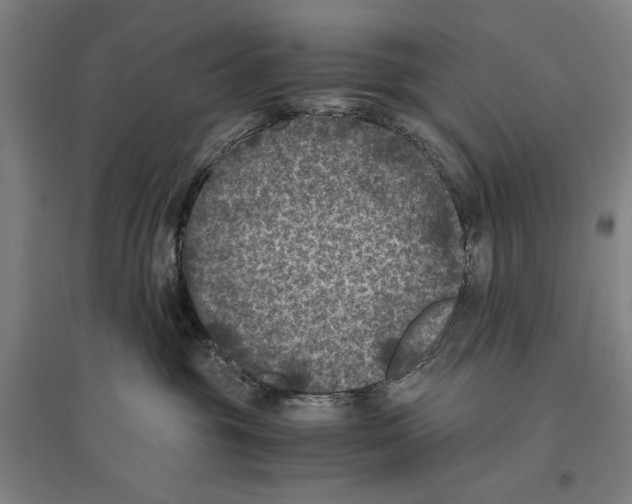 X0000096640381200803041132